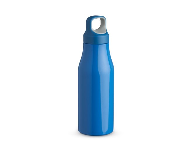 Garrafa Inox 650ml