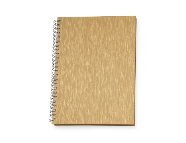 Caderno de Negcios